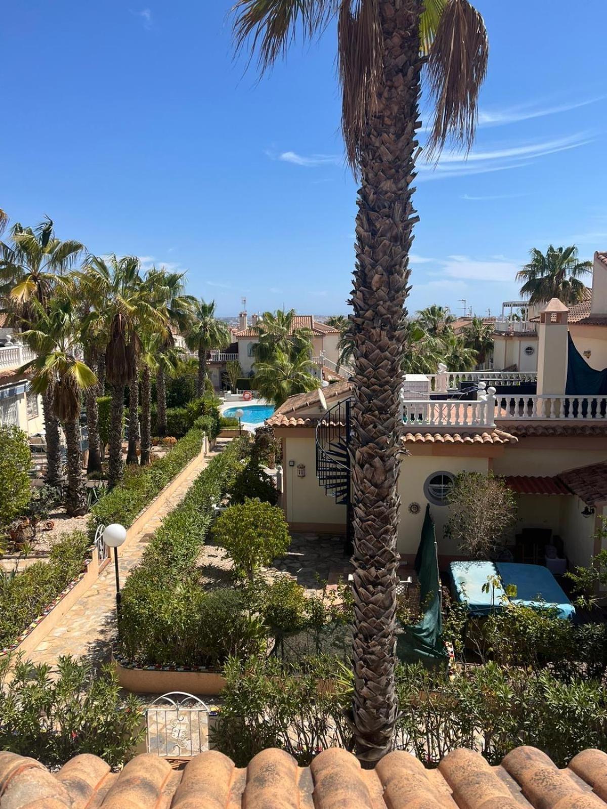 Schoenes Ruhiges Rooftop Apartment Mit Grosser Dachterrasse Torrevieja Eksteriør billede